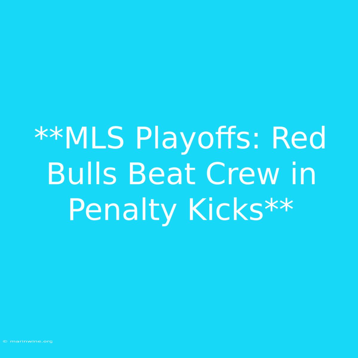 **MLS Playoffs: Red Bulls Beat Crew In Penalty Kicks** 