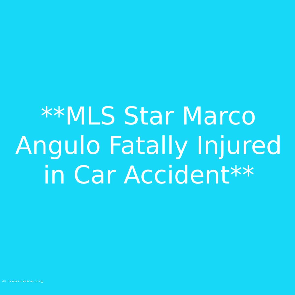 **MLS Star Marco Angulo Fatally Injured In Car Accident** 