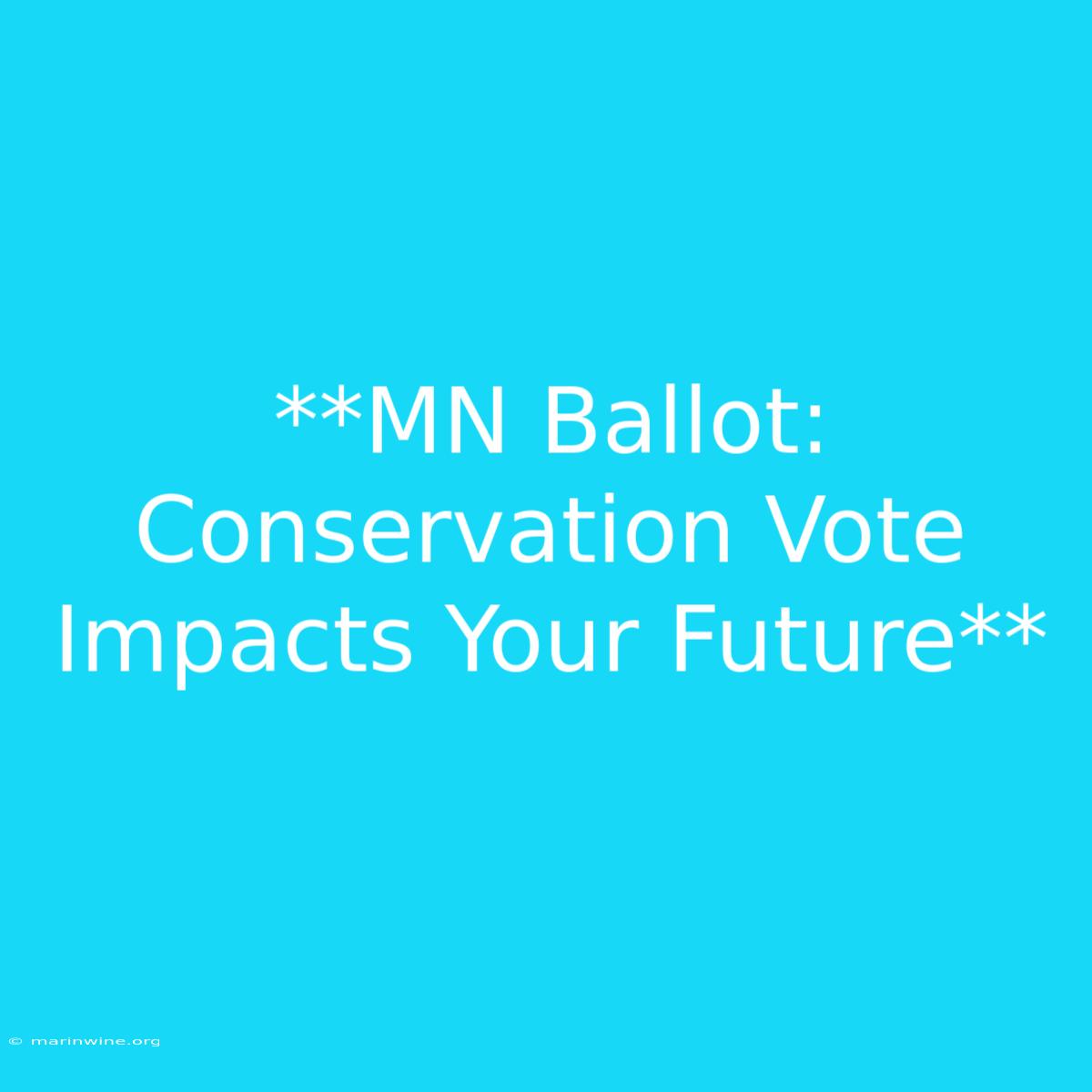 **MN Ballot: Conservation Vote Impacts Your Future**