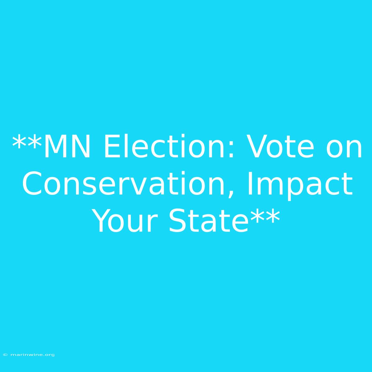 **MN Election: Vote On Conservation, Impact Your State** 