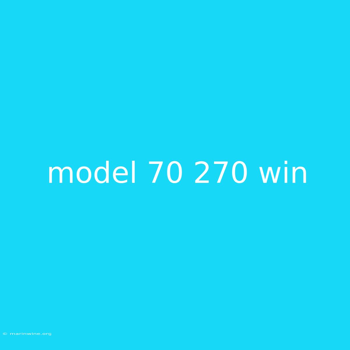 Model 70 270 Win