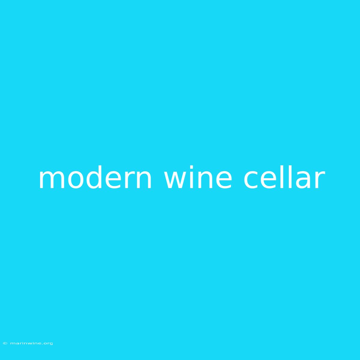 Modern Wine Cellar