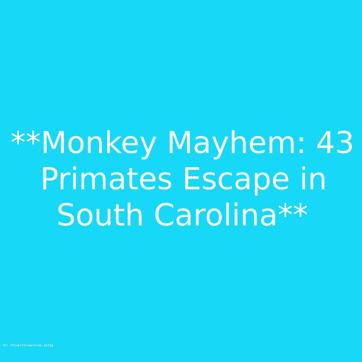 **Monkey Mayhem: 43 Primates Escape In South Carolina** 