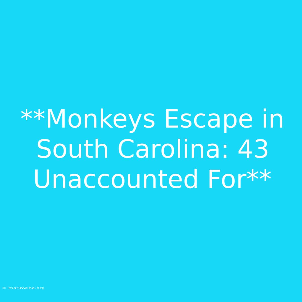 **Monkeys Escape In South Carolina: 43 Unaccounted For** 