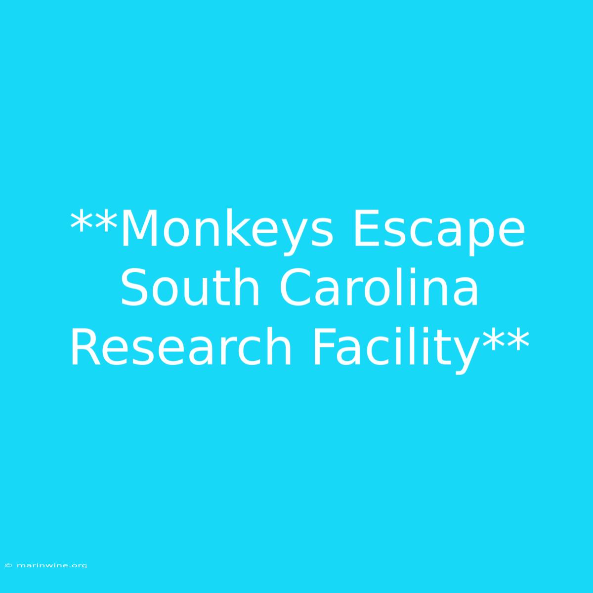 **Monkeys Escape South Carolina Research Facility**