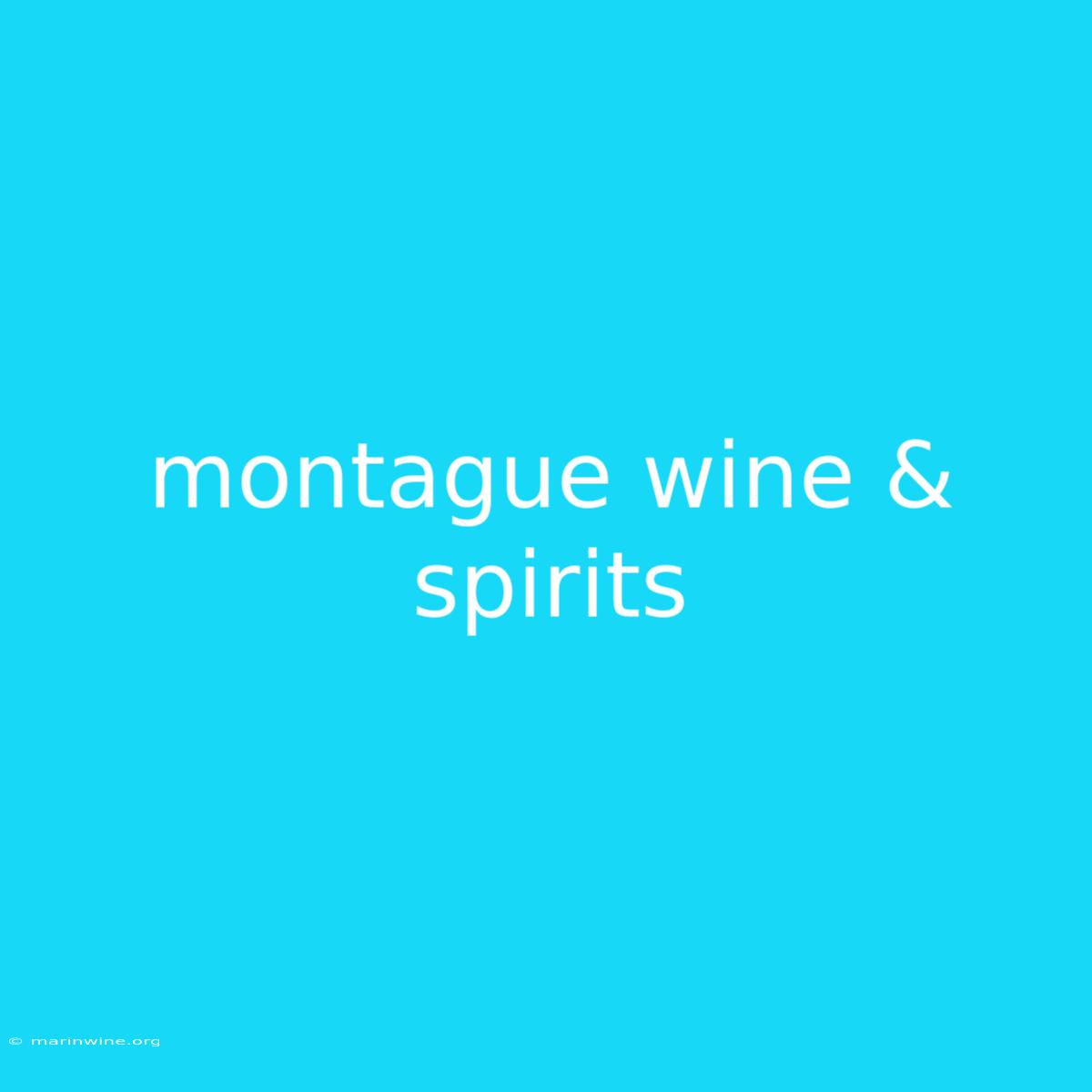 Montague Wine & Spirits