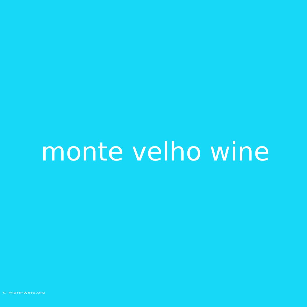 Monte Velho Wine