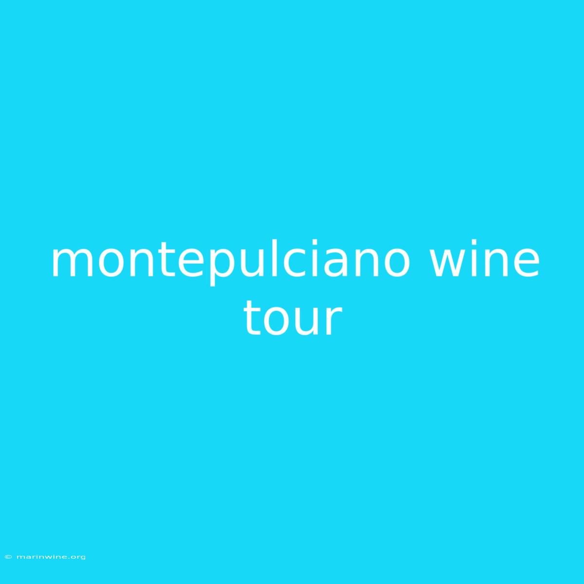 Montepulciano Wine Tour