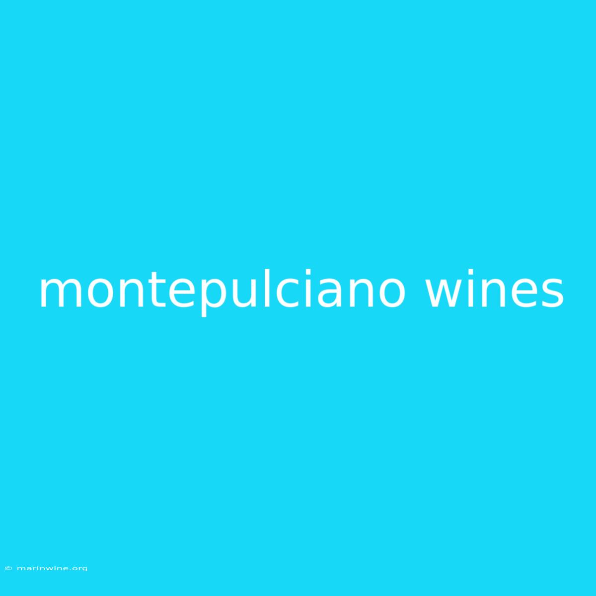 Montepulciano Wines