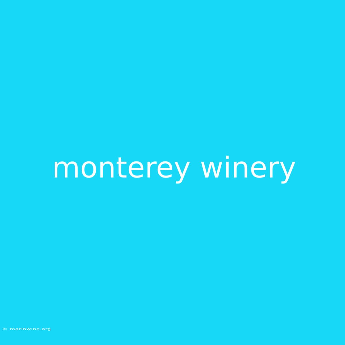 Monterey Winery