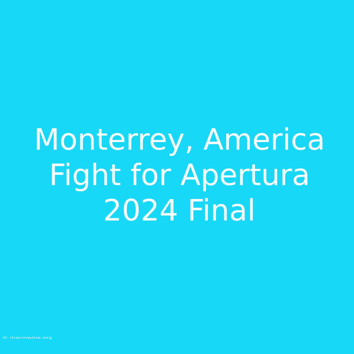 Monterrey, America Fight For Apertura 2024 Final