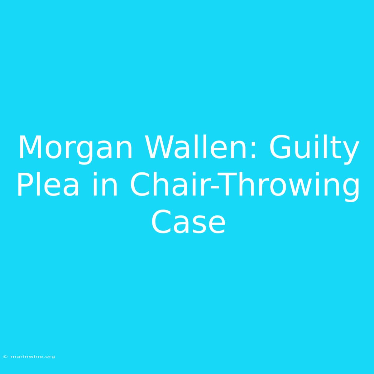 Morgan Wallen: Guilty Plea In Chair-Throwing Case