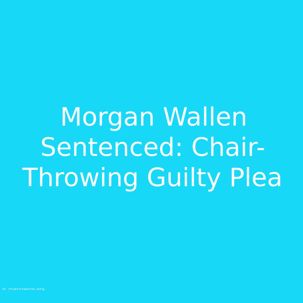 Morgan Wallen Sentenced: Chair-Throwing Guilty Plea