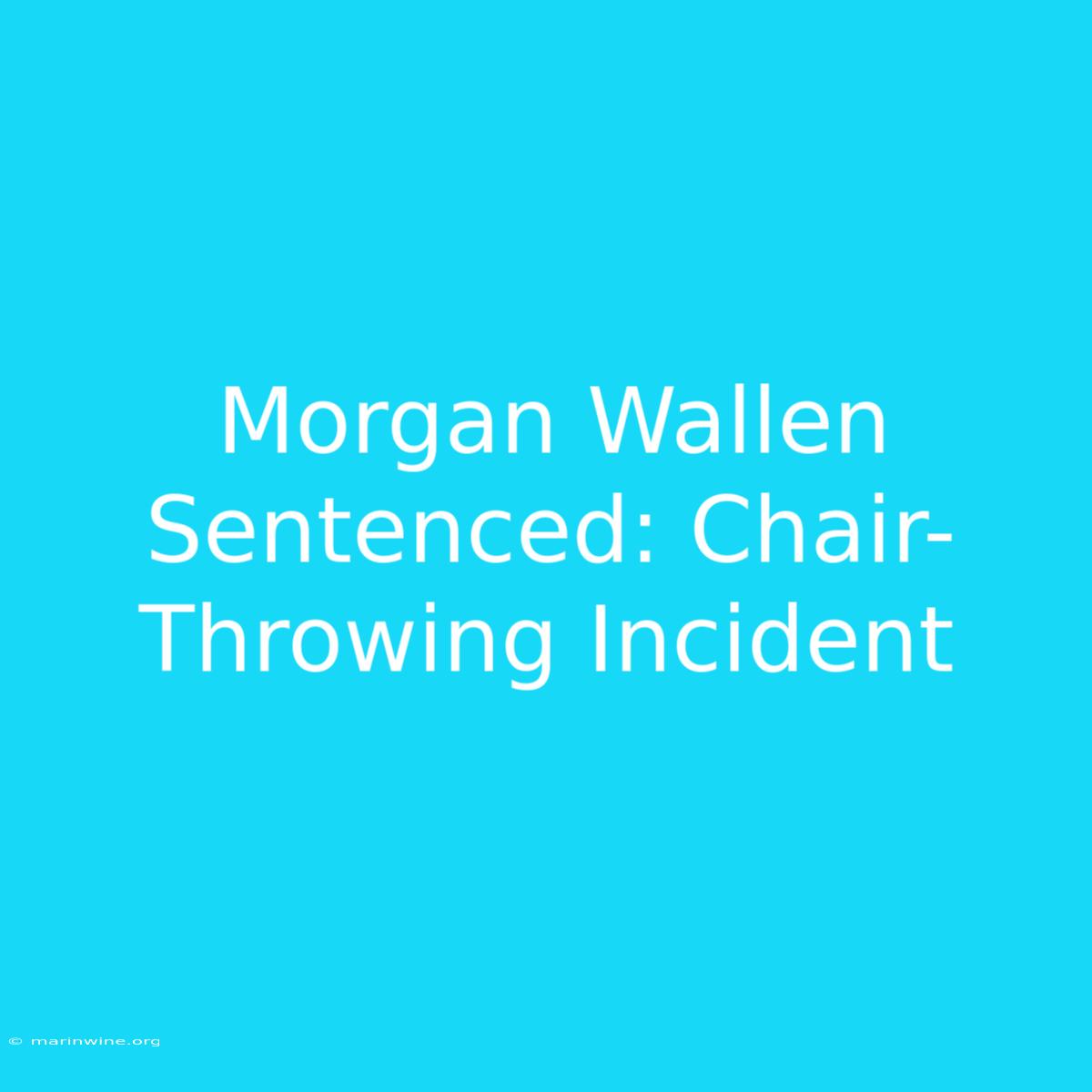 Morgan Wallen Sentenced: Chair-Throwing Incident