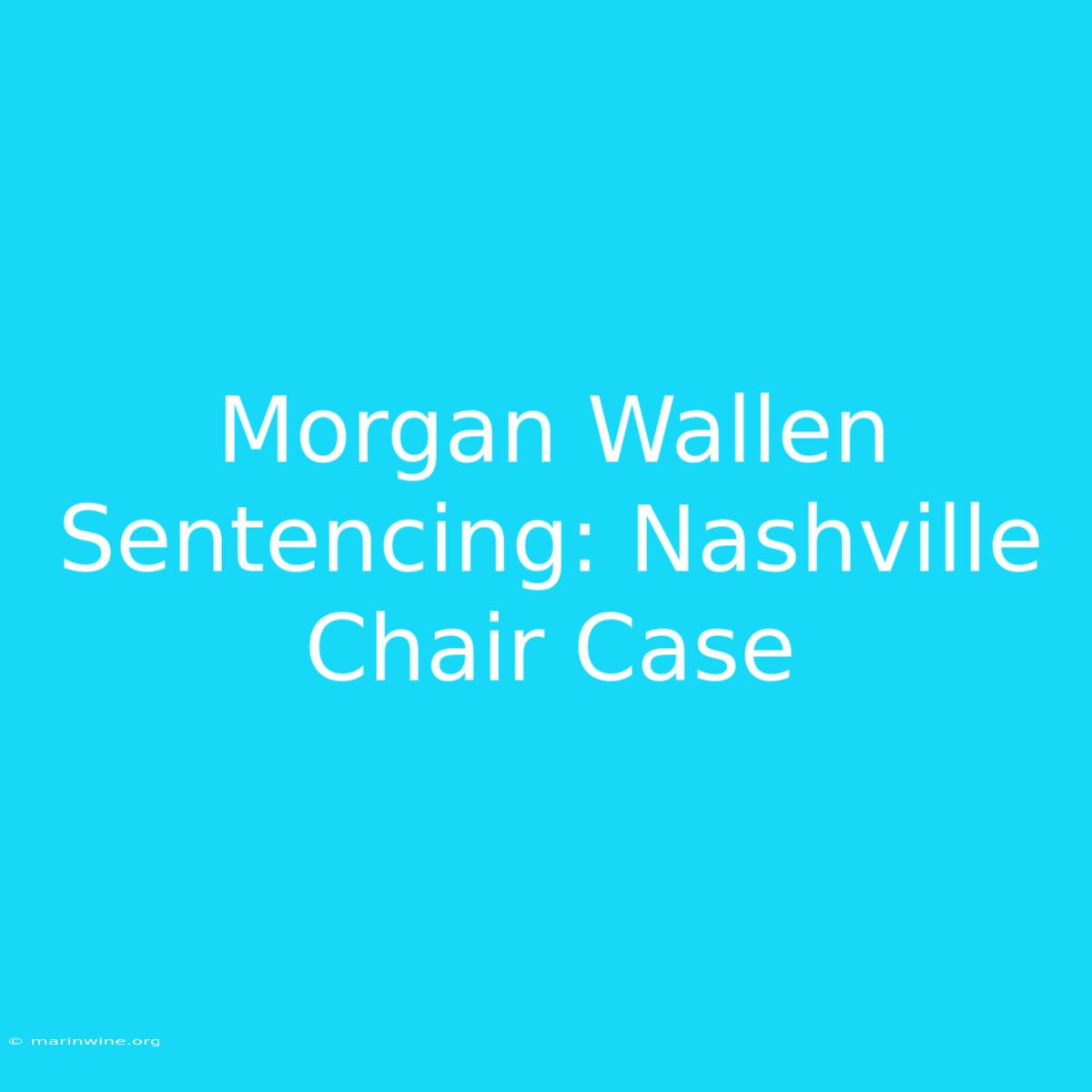 Morgan Wallen Sentencing: Nashville Chair Case