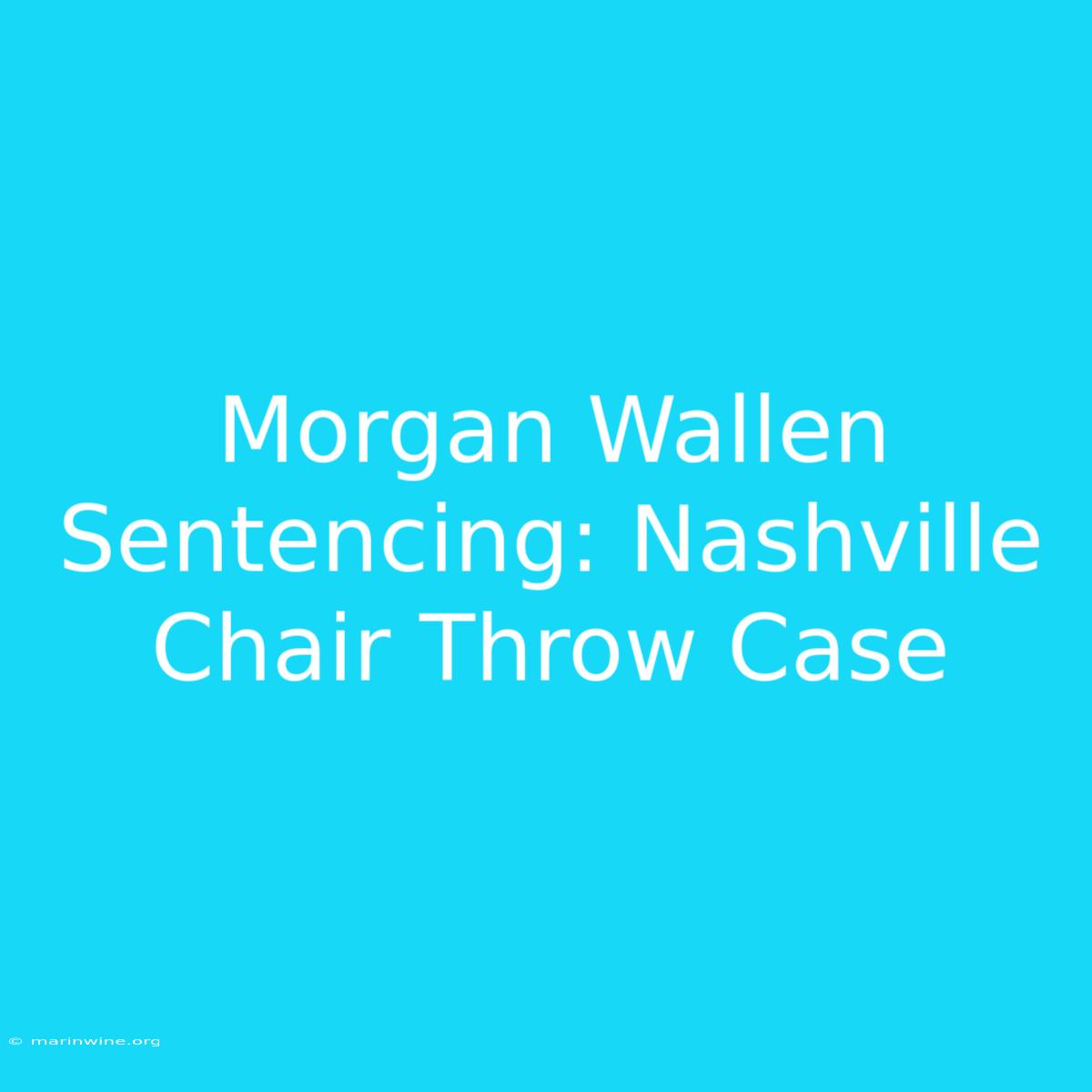 Morgan Wallen Sentencing: Nashville Chair Throw Case