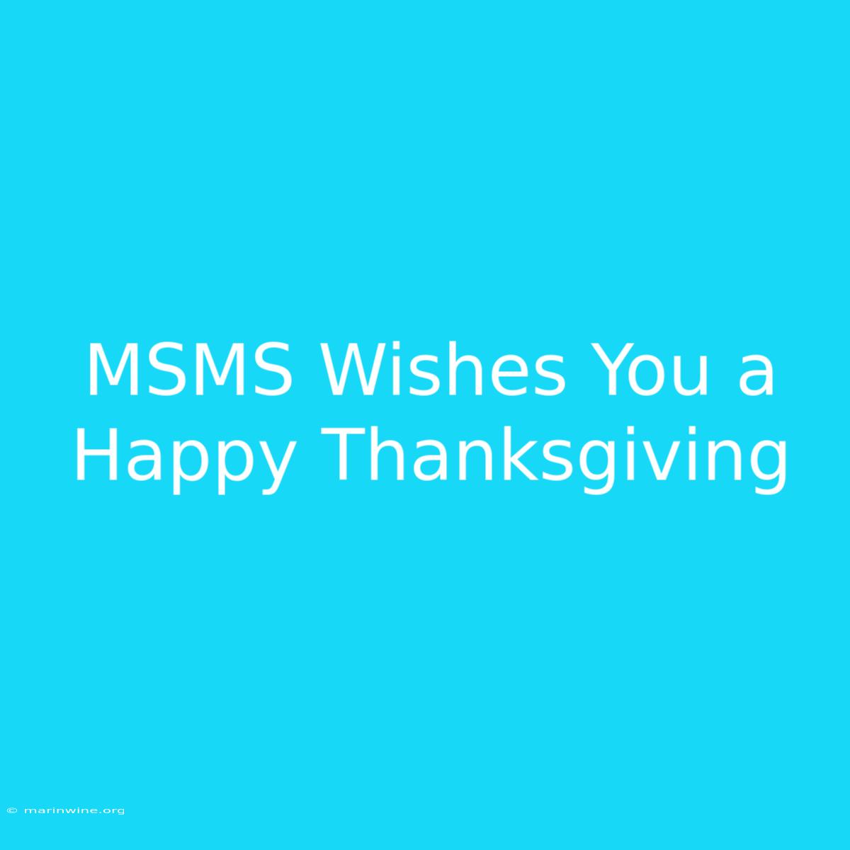 MSMS Wishes You A Happy Thanksgiving