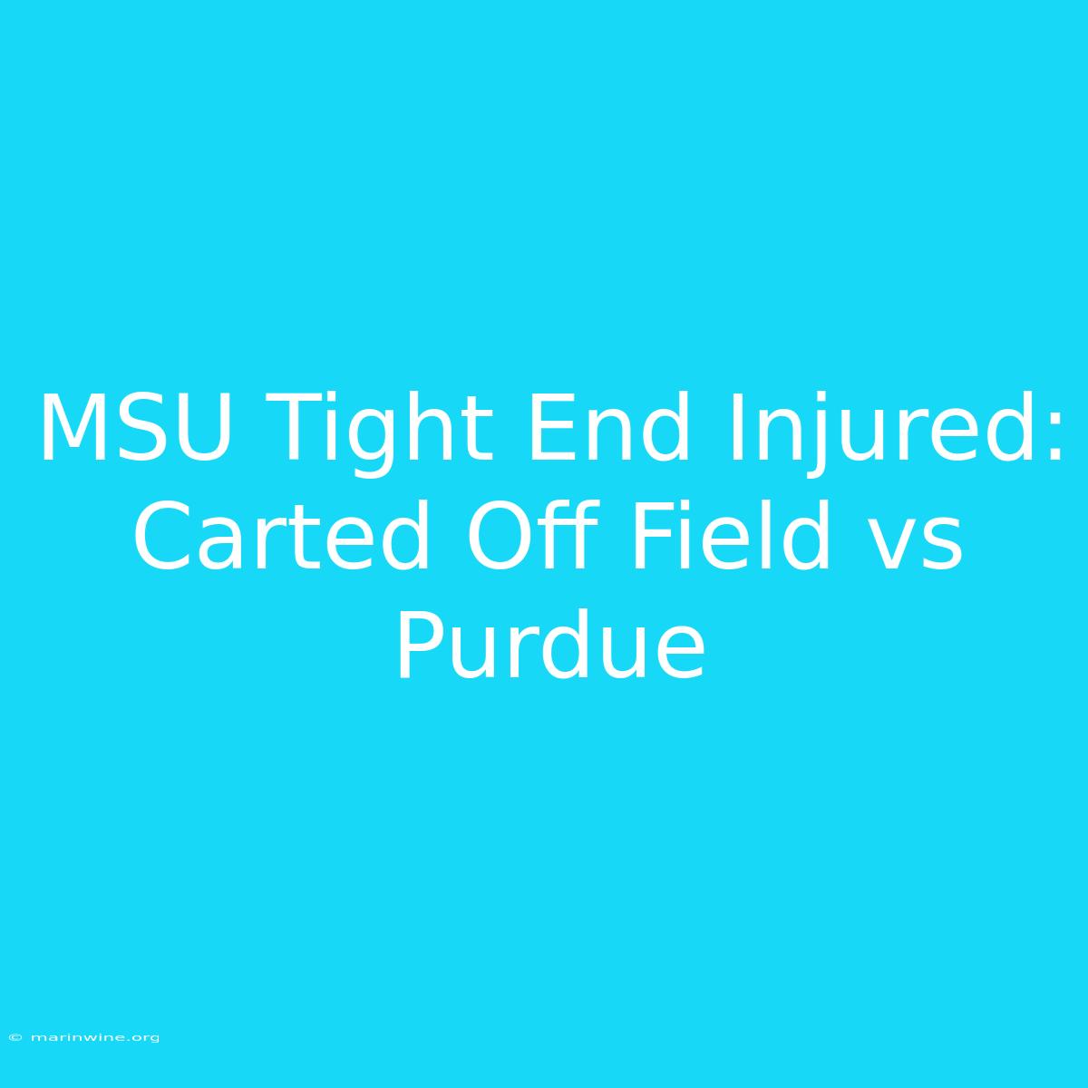 MSU Tight End Injured: Carted Off Field Vs Purdue