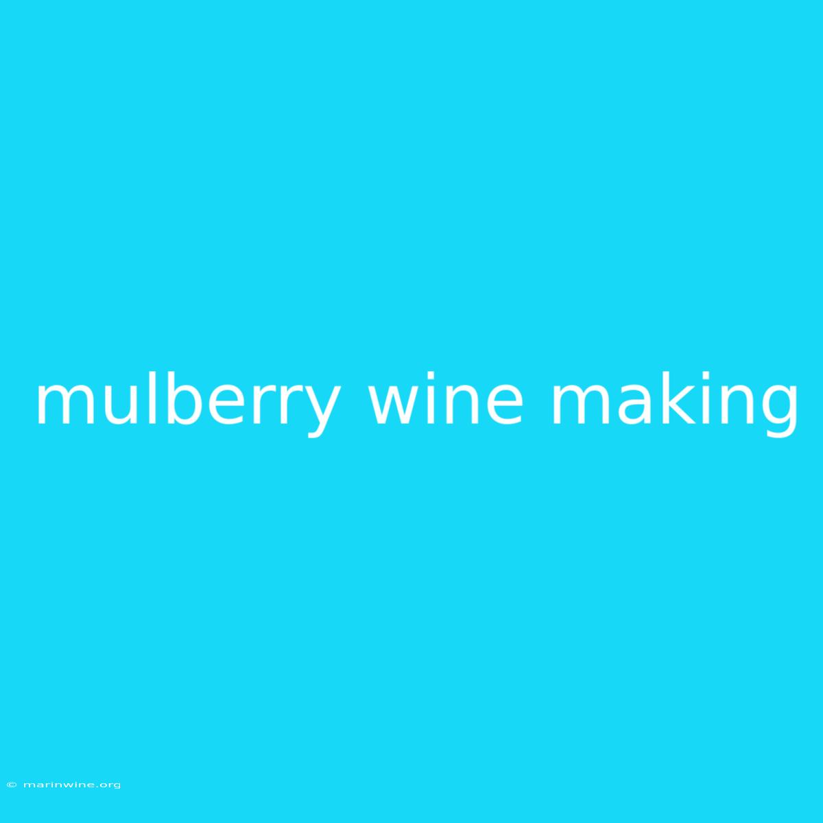 Mulberry Wine Making