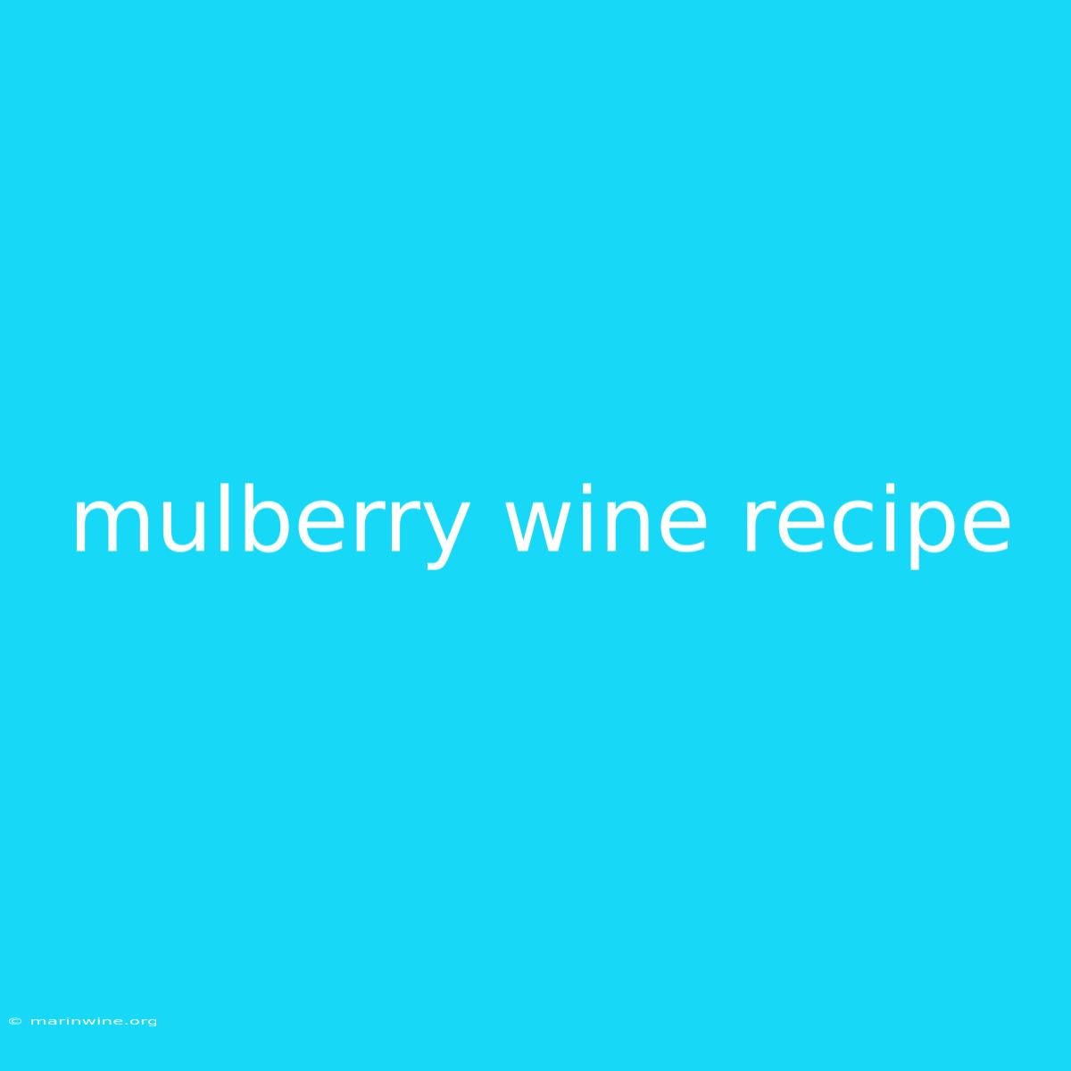 Mulberry Wine Recipe