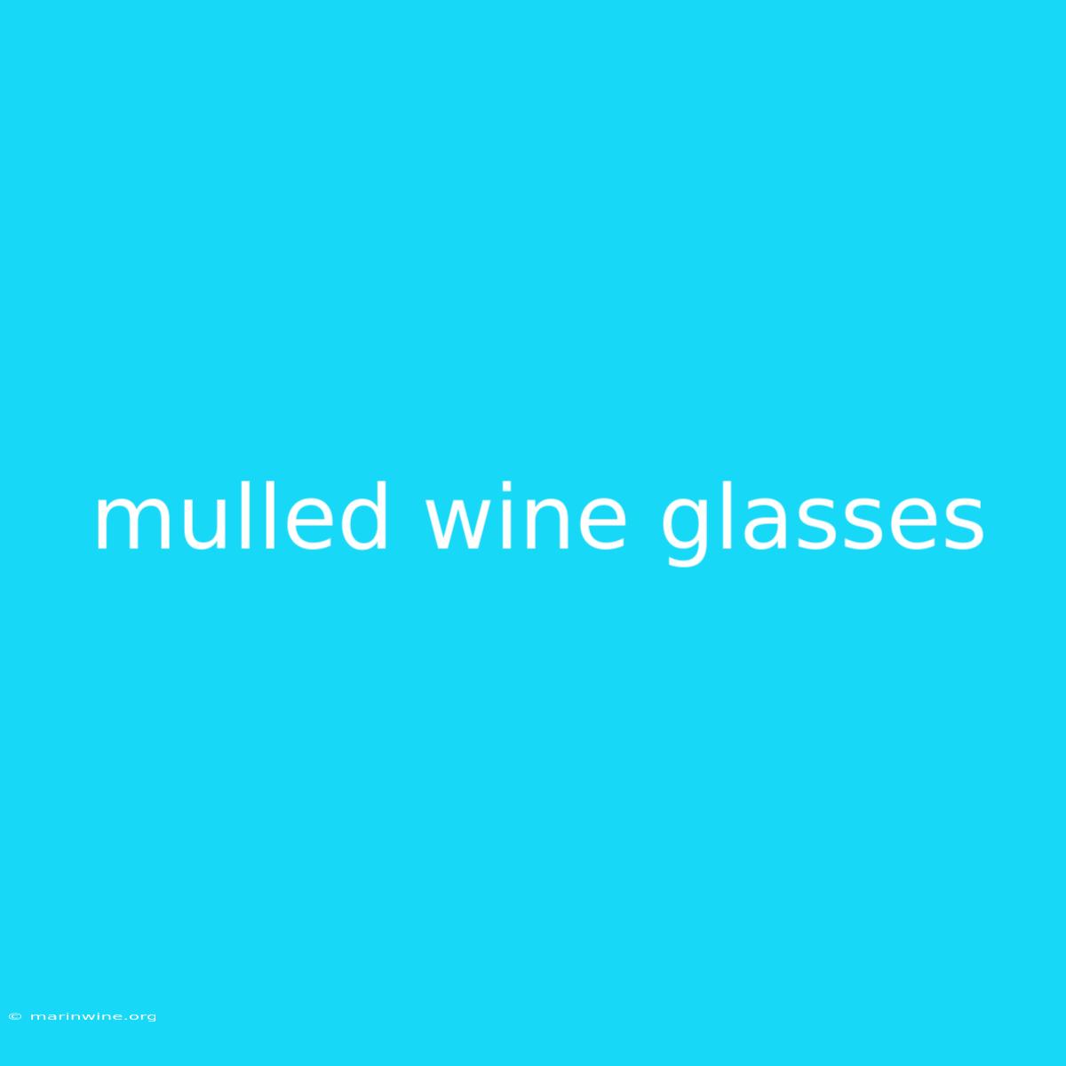 Mulled Wine Glasses