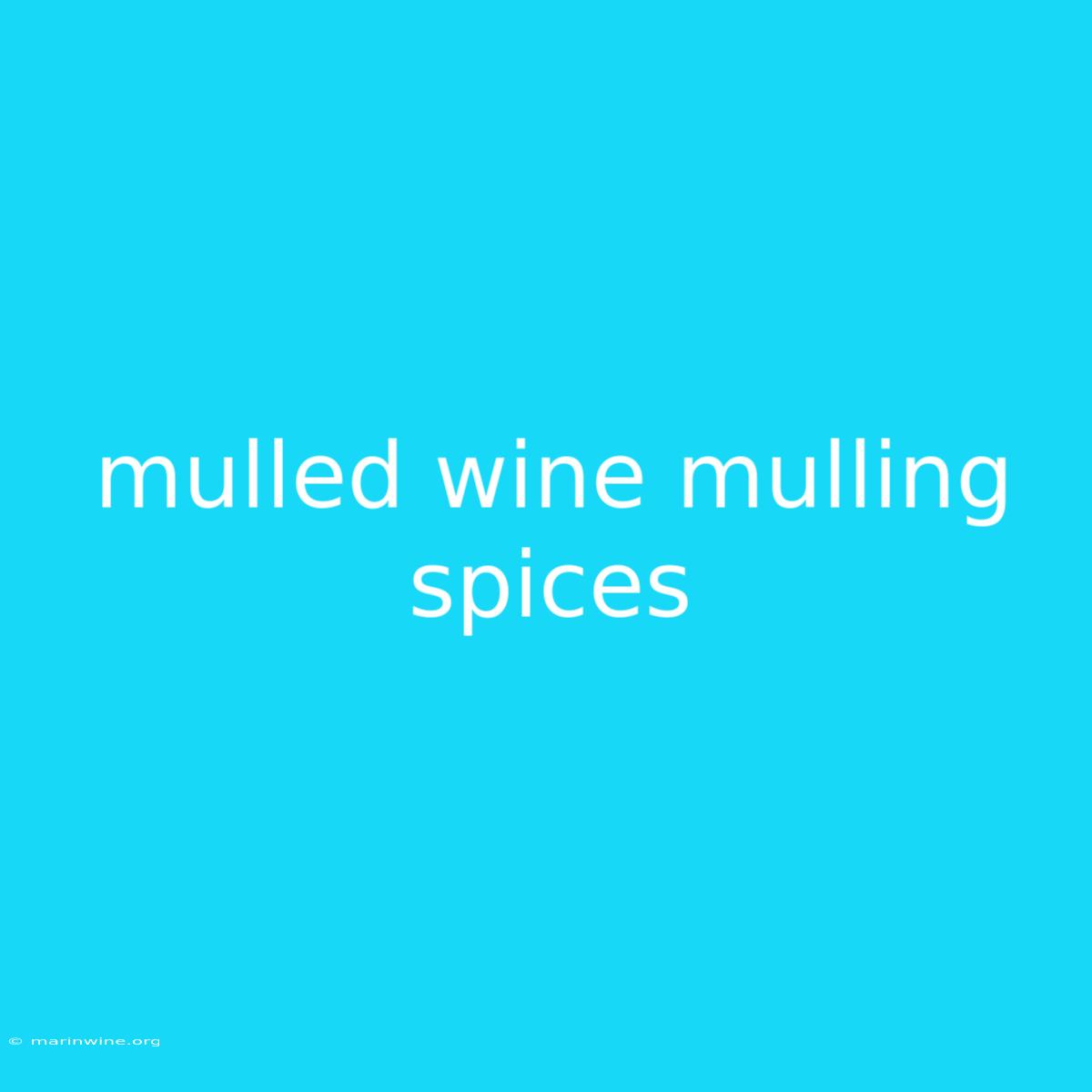 Mulled Wine Mulling Spices