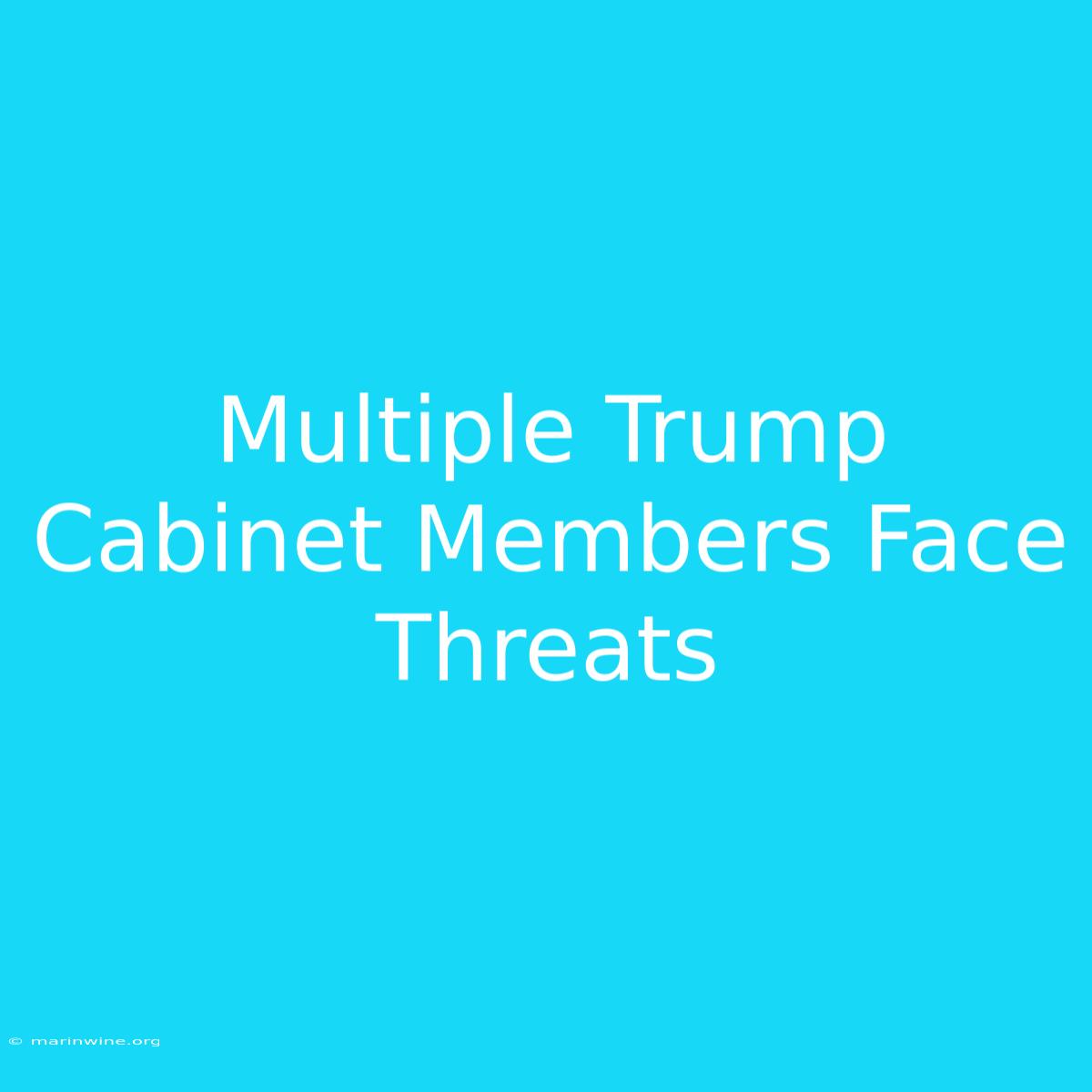 Multiple Trump Cabinet Members Face Threats