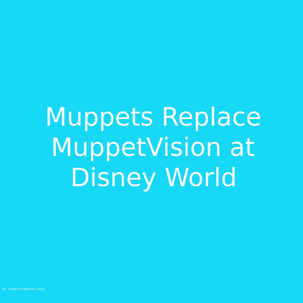 Muppets Replace MuppetVision At Disney World