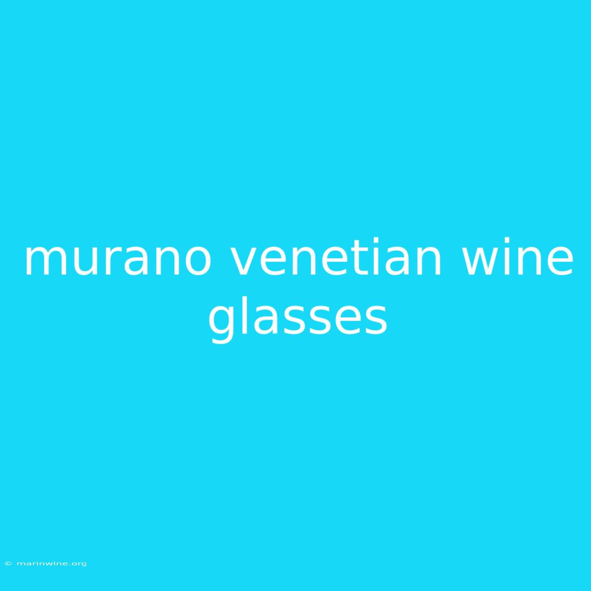 Murano Venetian Wine Glasses