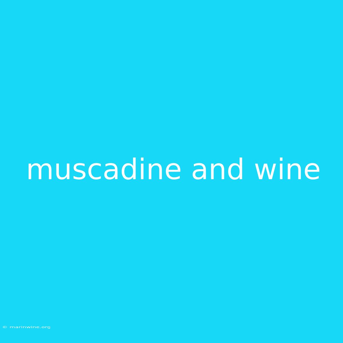 Muscadine And Wine