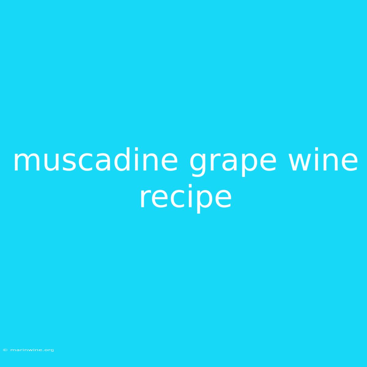 Muscadine Grape Wine Recipe