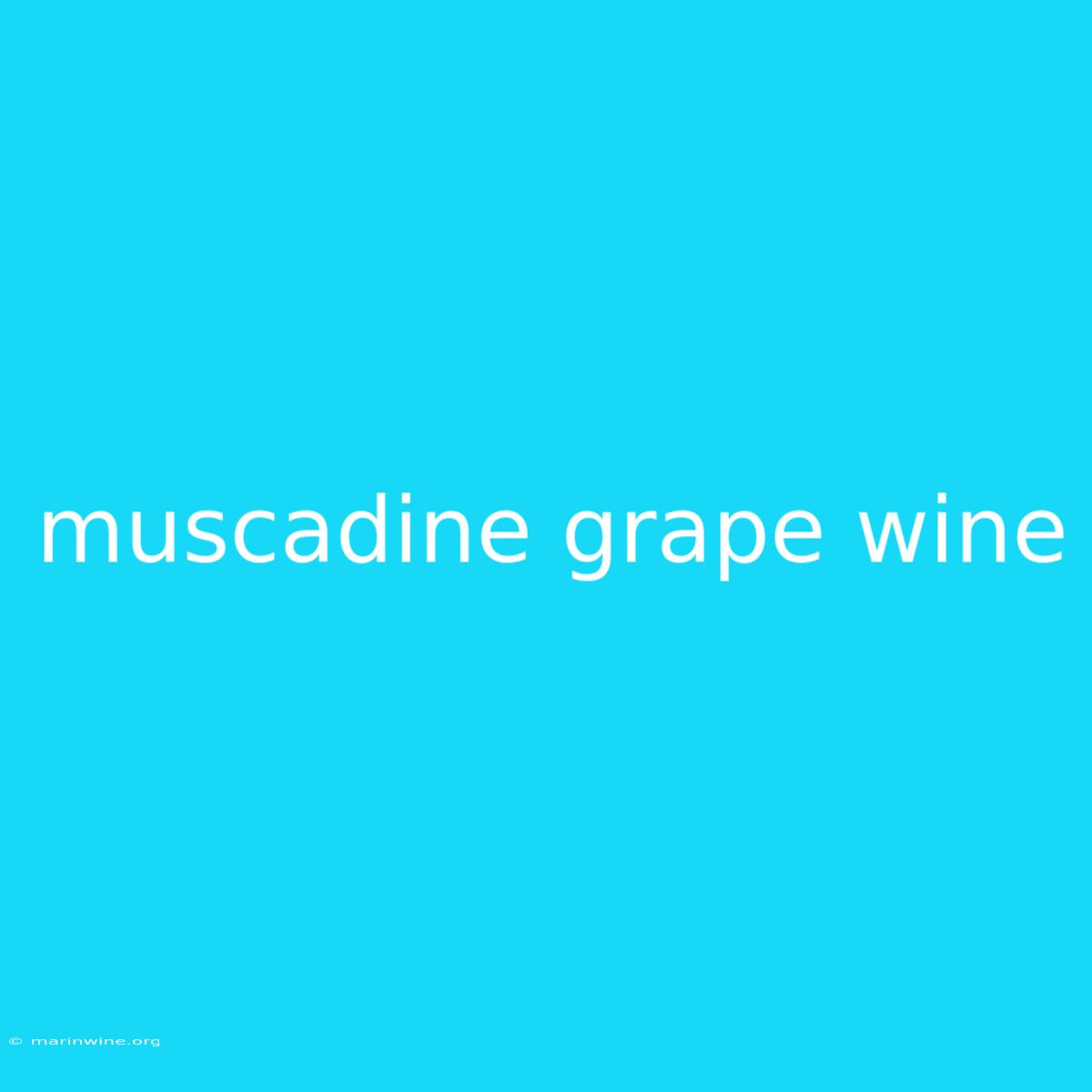 Muscadine Grape Wine