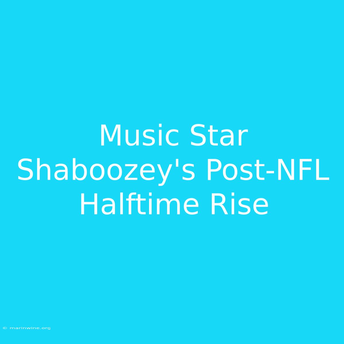 Music Star Shaboozey's Post-NFL Halftime Rise