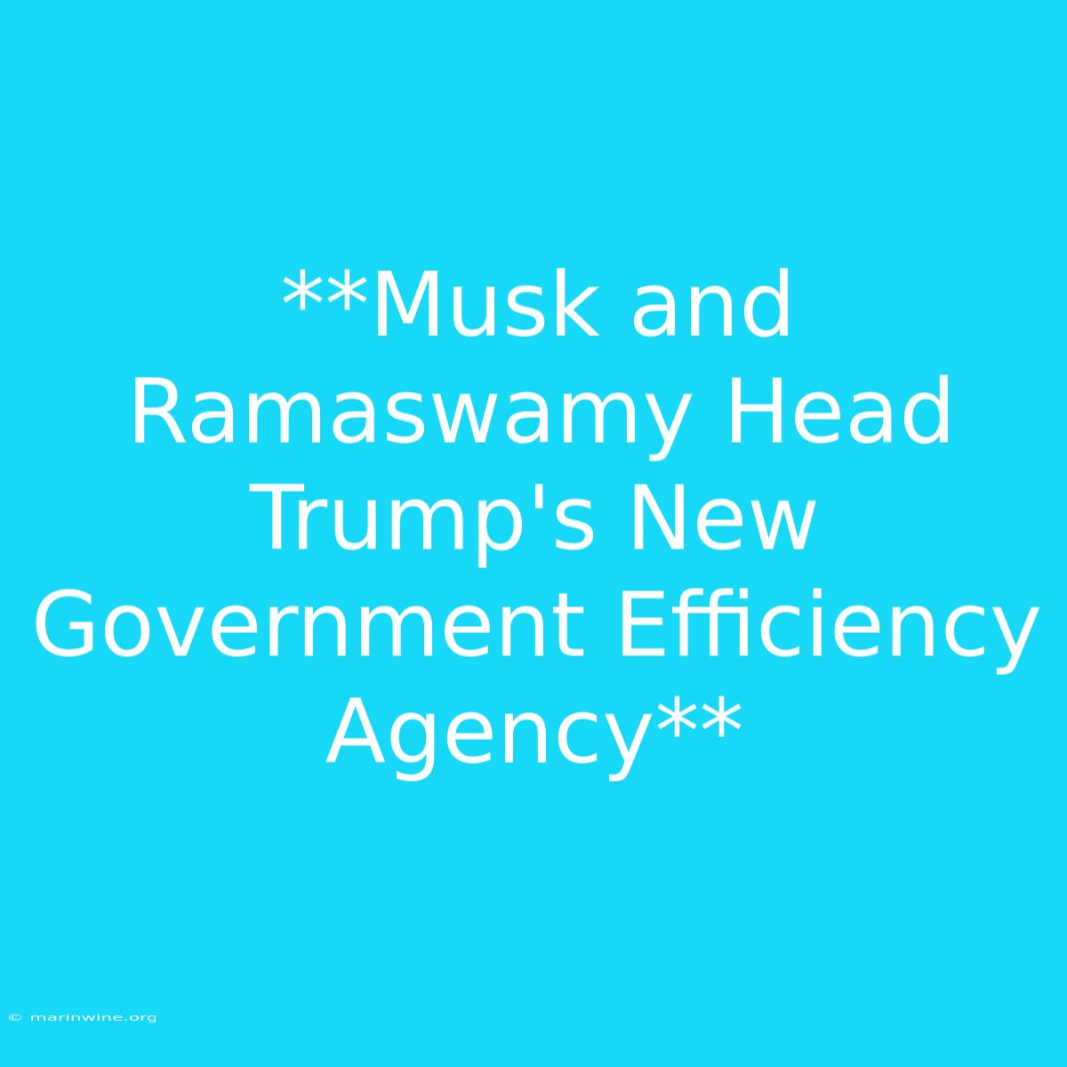 **Musk And Ramaswamy Head Trump's New Government Efficiency Agency** 