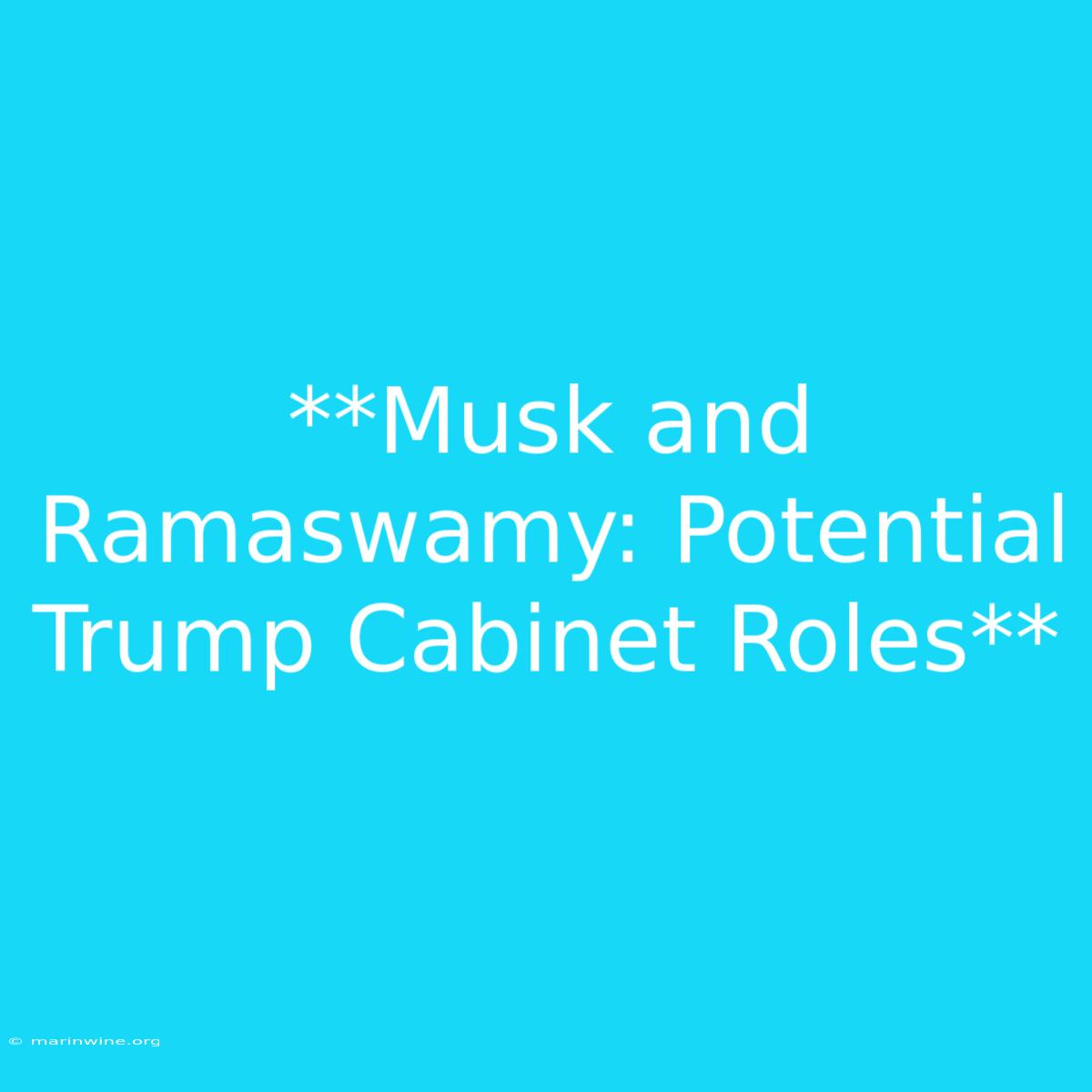 **Musk And Ramaswamy: Potential Trump Cabinet Roles**