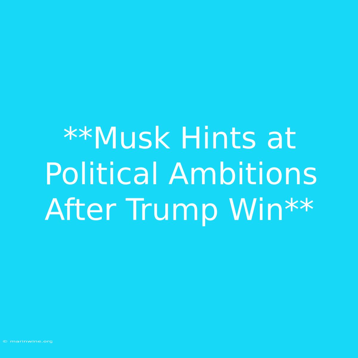 **Musk Hints At Political Ambitions After Trump Win**