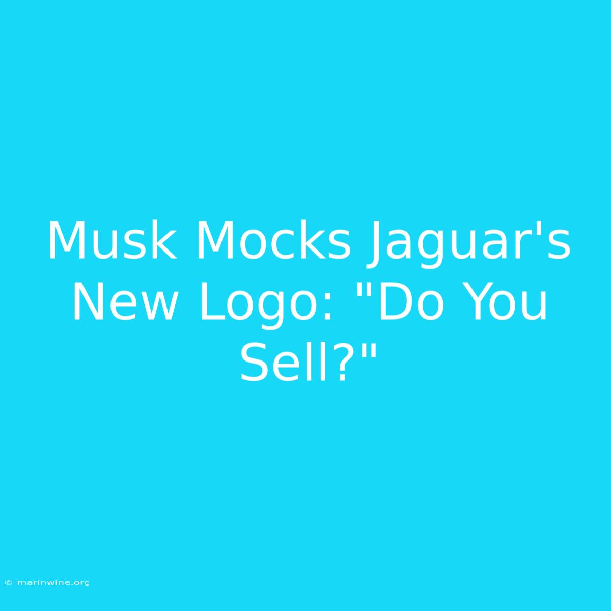 Musk Mocks Jaguar's New Logo: 