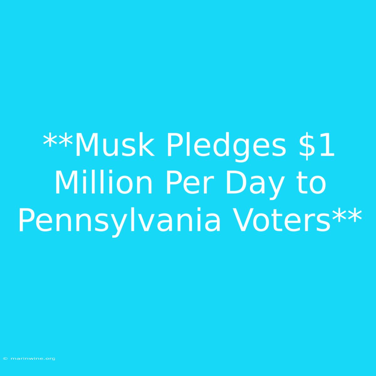 **Musk Pledges $1 Million Per Day To Pennsylvania Voters** 