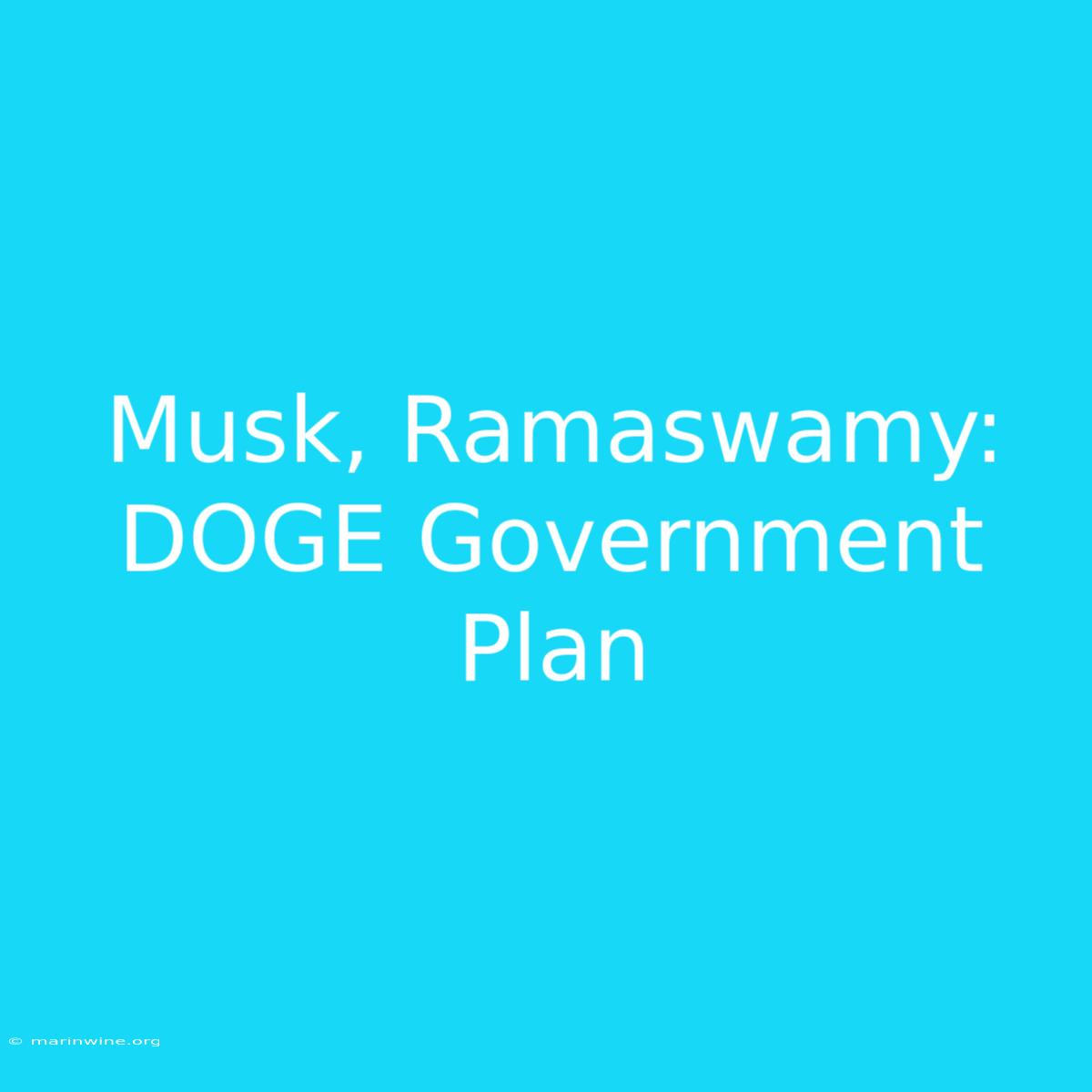 Musk, Ramaswamy: DOGE Government Plan