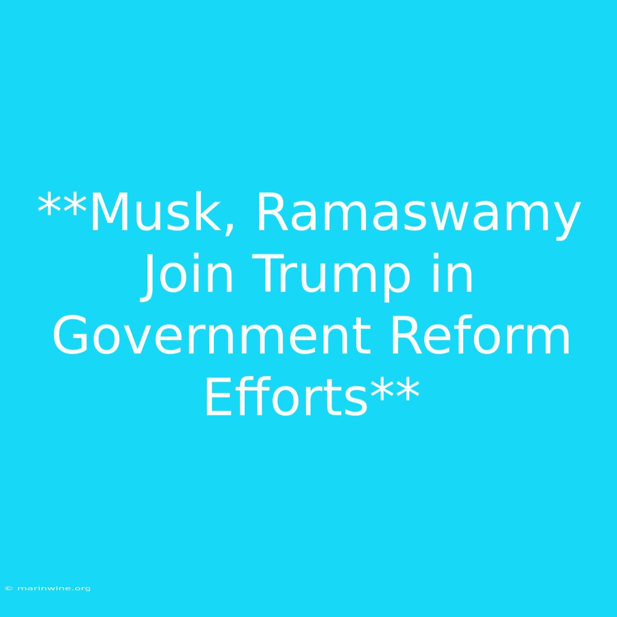 **Musk, Ramaswamy Join Trump In Government Reform Efforts** 