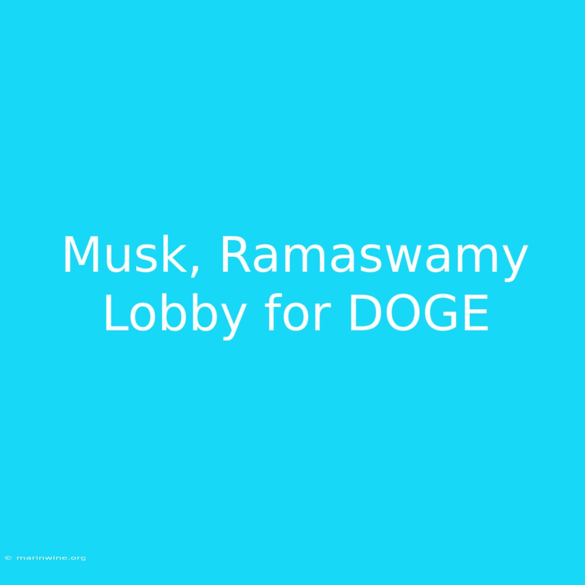 Musk, Ramaswamy Lobby For DOGE