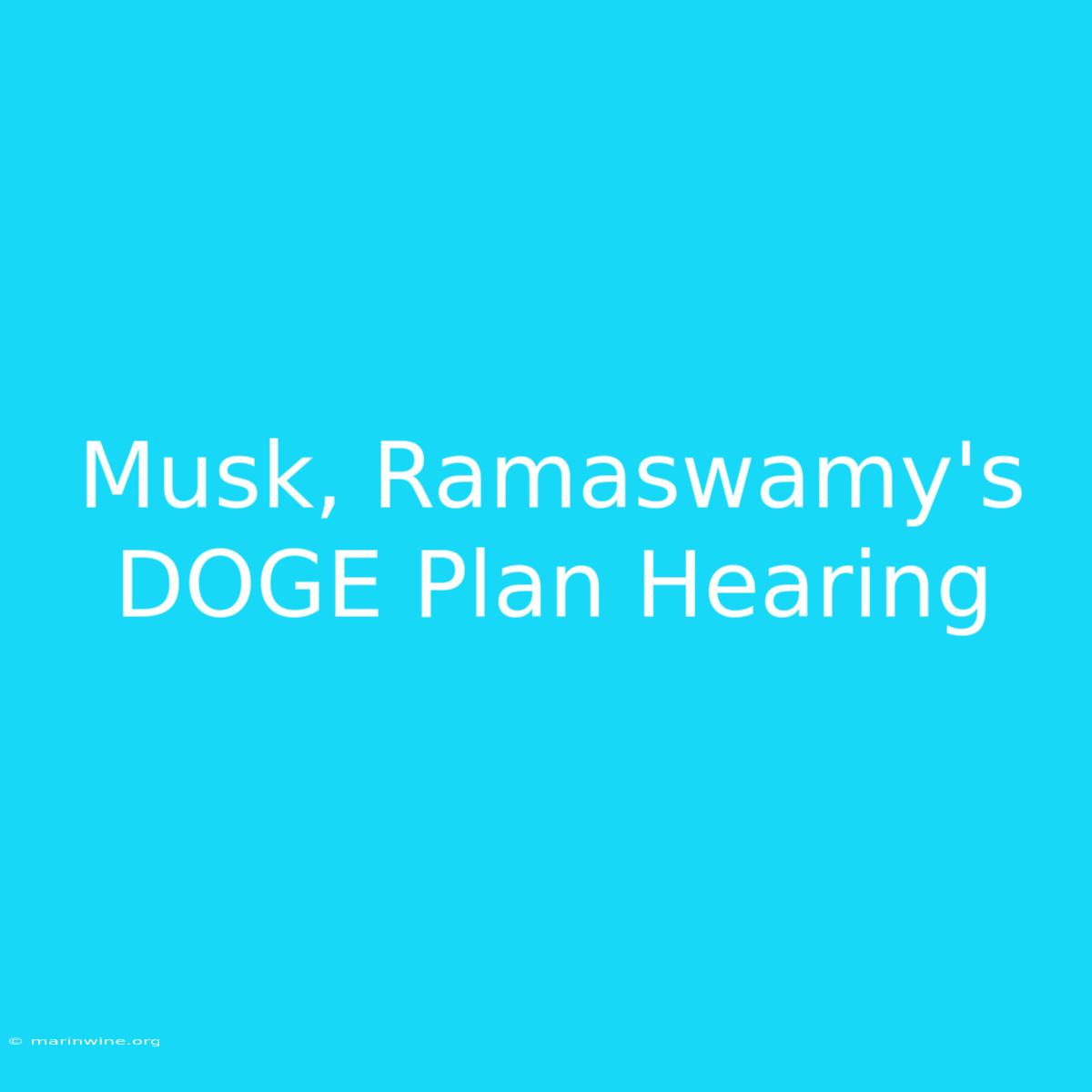 Musk, Ramaswamy's DOGE Plan Hearing