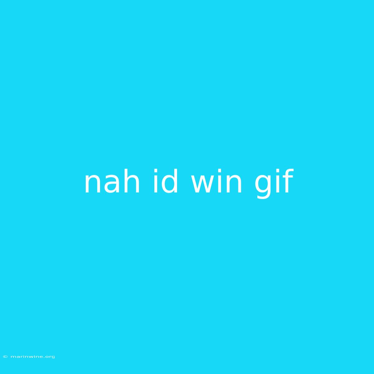 Nah Id Win Gif