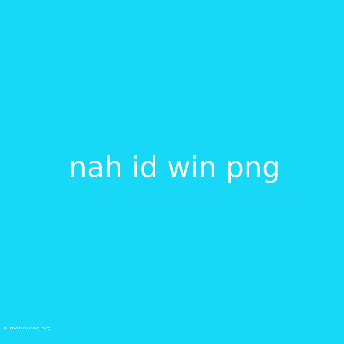 Nah Id Win Png