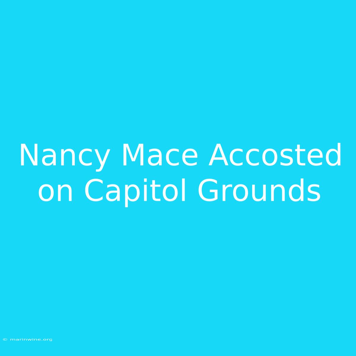 Nancy Mace Accosted On Capitol Grounds