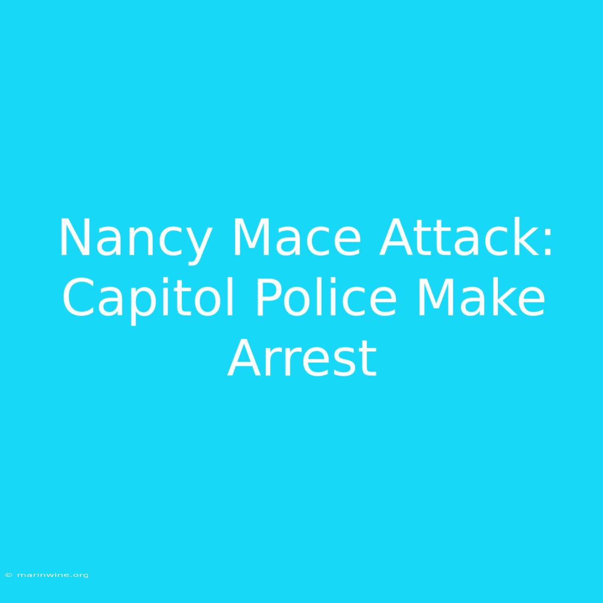 Nancy Mace Attack: Capitol Police Make Arrest