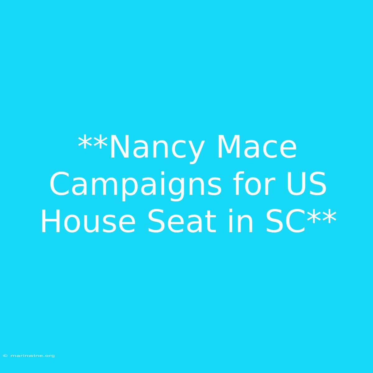 **Nancy Mace Campaigns For US House Seat In SC**