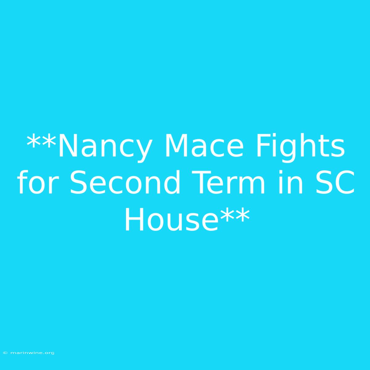 **Nancy Mace Fights For Second Term In SC House**