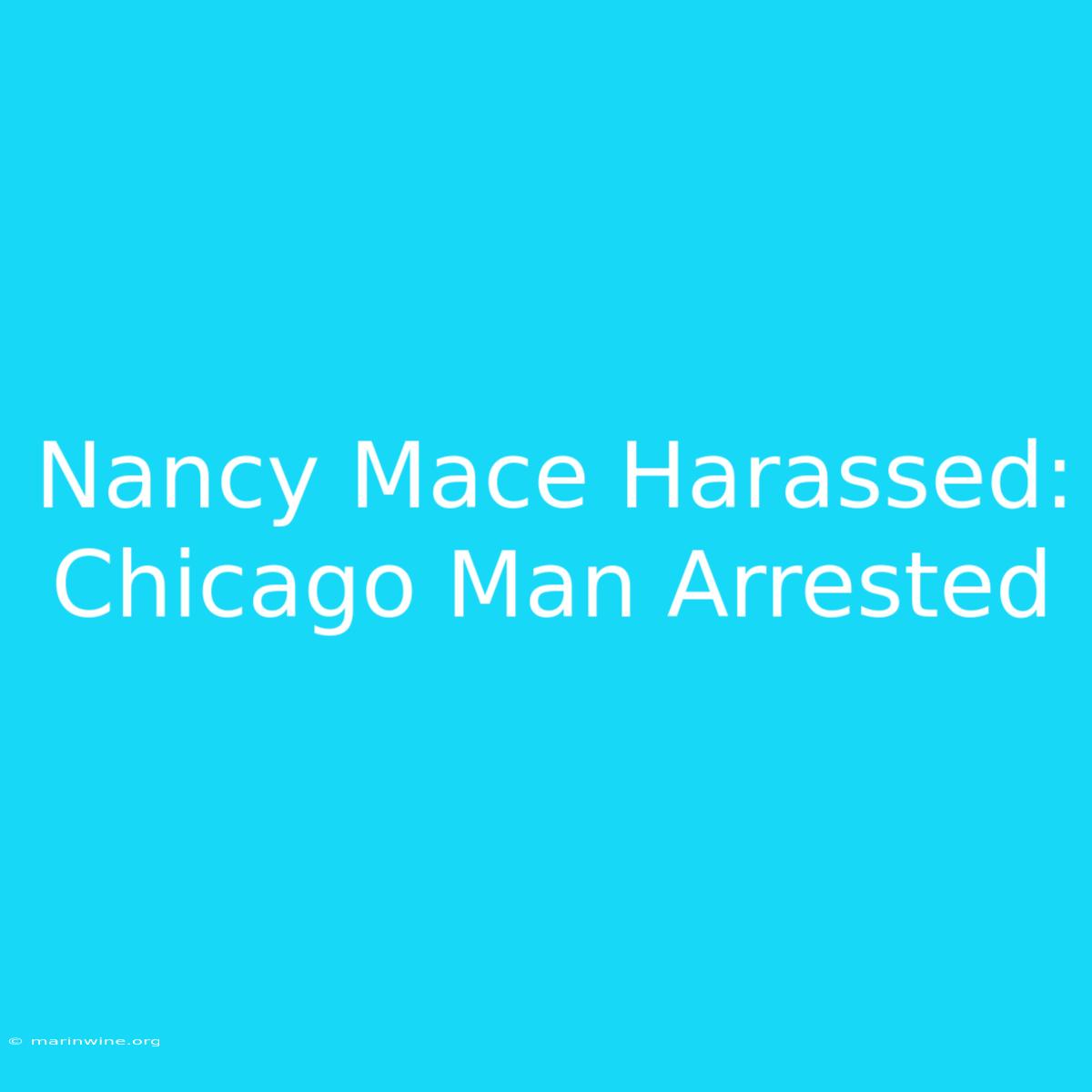 Nancy Mace Harassed: Chicago Man Arrested