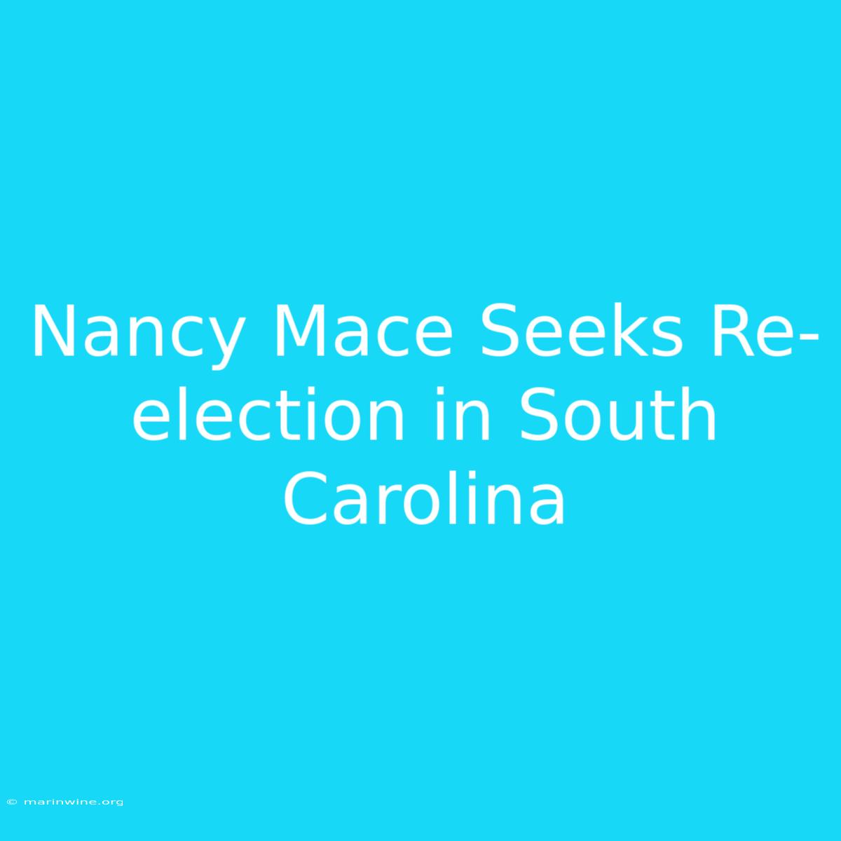 Nancy Mace Seeks Re-election In South Carolina